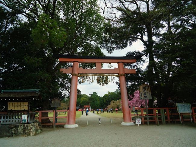 やきもちを購入後<br /><br />早速<br /><br />上賀茂神社へ。