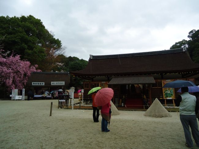 本日は朝から雨です。<br /><br />