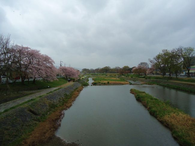 今日は途中でわらび餅を<br /><br />友達と食べる約束をしてたので<br /><br />上賀茂神社から一旦途中の下鴨神社近くで<br /><br />バス降車。