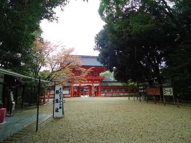 上賀茂神社へ。<br />