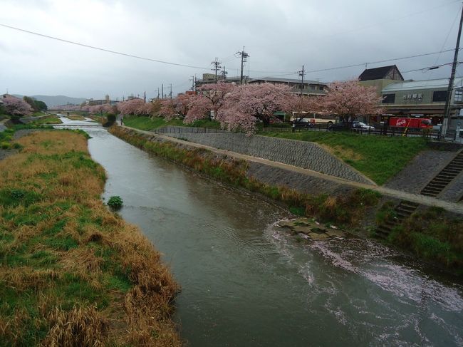 下鴨神社からバスに乗り<br /><br />お次はお目当ての和菓子屋さんへ。<br /><br />出町柳へ向かいました。