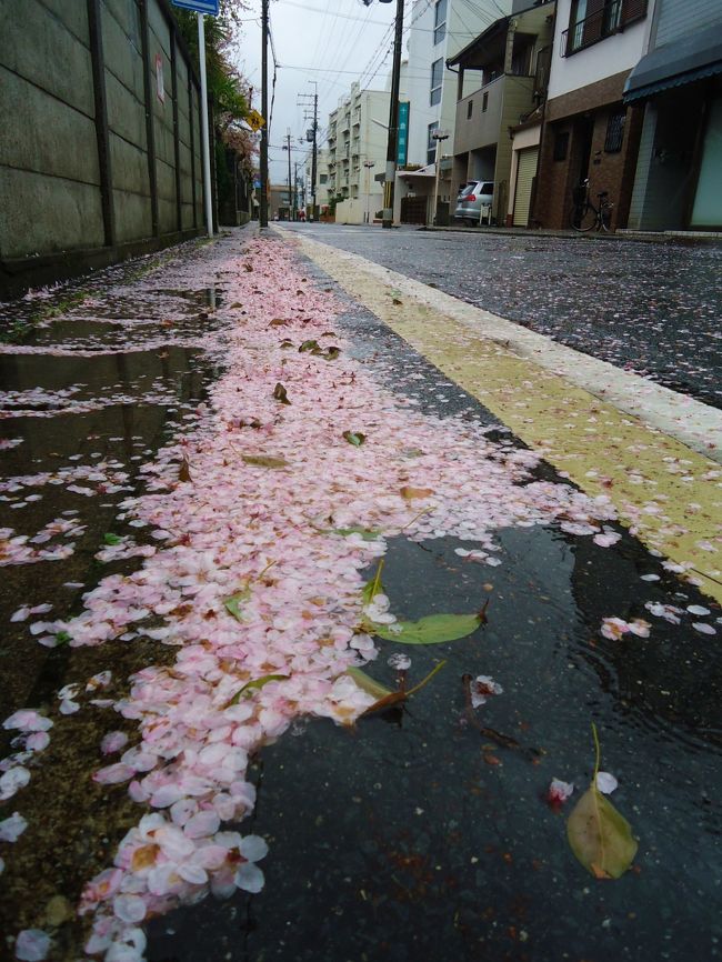 恵文社を後にし<br /><br />ブラブラ〜