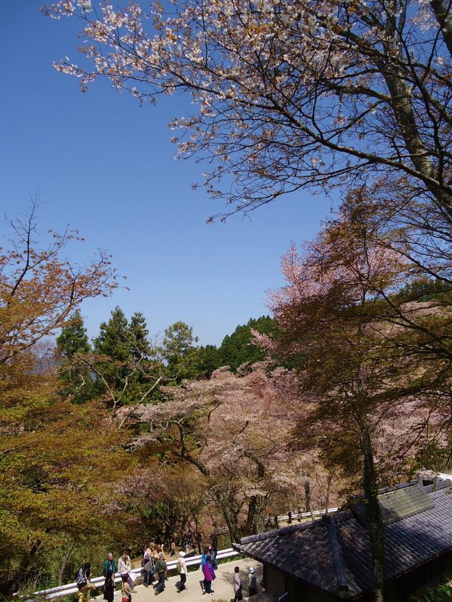 私は今回の旅では<br /><br />ショートブーツで<br /><br />歩いたので足が途中で<br /><br />痛くなってしまったヽ(；▽；)ノ