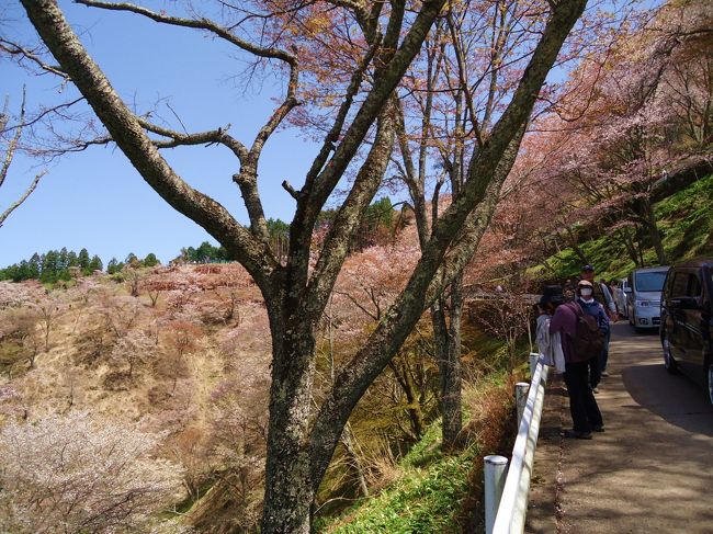 まあでも<br /><br />高い靴で本当よく色々と<br /><br />歩き回ったよな(ｰｰ;)