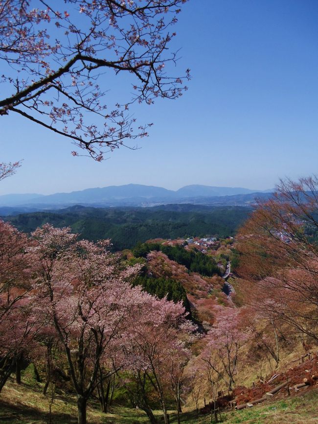 また機会があれば<br /><br />是非来たいです！