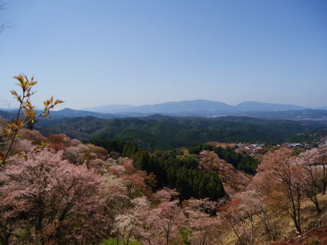 写真を撮ってる男性が<br /><br />「ああ〜あと４日早ければなあ〜!!」と<br /><br />大きな独り言を言っていた。<br /><br />私含め周りの人たちも同感( ﾟｰﾟ)( ｡_｡)