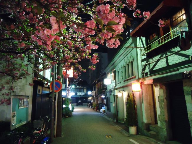 河原町で下車し<br /><br />コーヒーを飲んでから<br /><br />帰ることにします(*ﾟ▽ﾟ*)