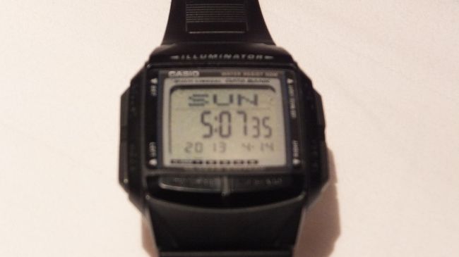 最終日。<br />え、もう帰る？<br />