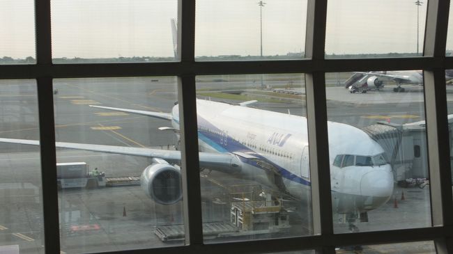 そんな大きくないな。<br />