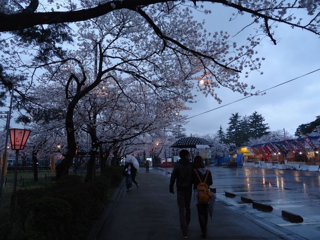今度は<br /><br />高田公園の夜桜鑑賞へ。