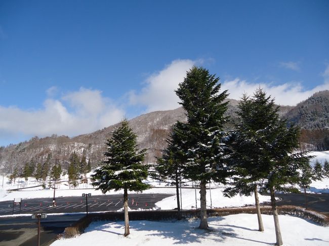 まだまだ春は<br /><br />遠いですね。