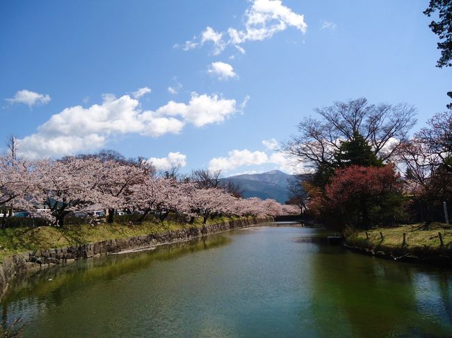 何度か来てるけど<br /><br />桜の時期は初めて。