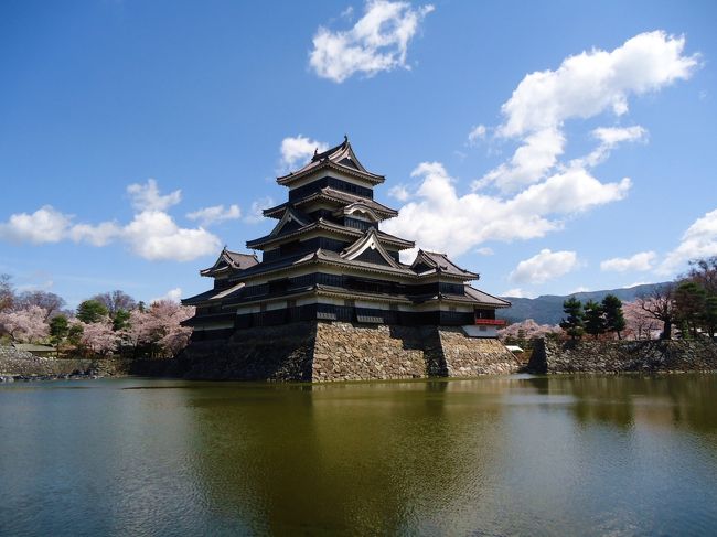 ほとんどの人が<br /><br />天守閣登るみたいですが、<br /><br /><br />