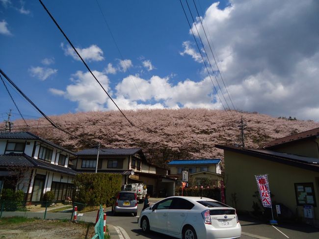 松本城のあとは<br /><br />弘法山古墳へ。<br /><br />