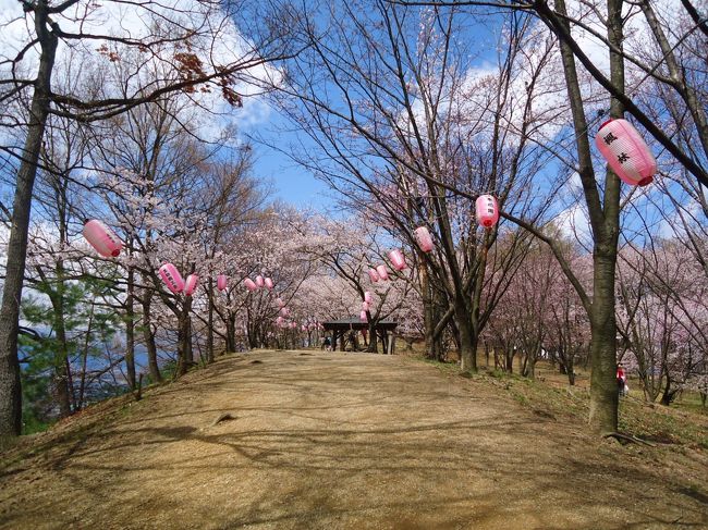 頂上までは<br /><br />結構キツイ登り坂です!!