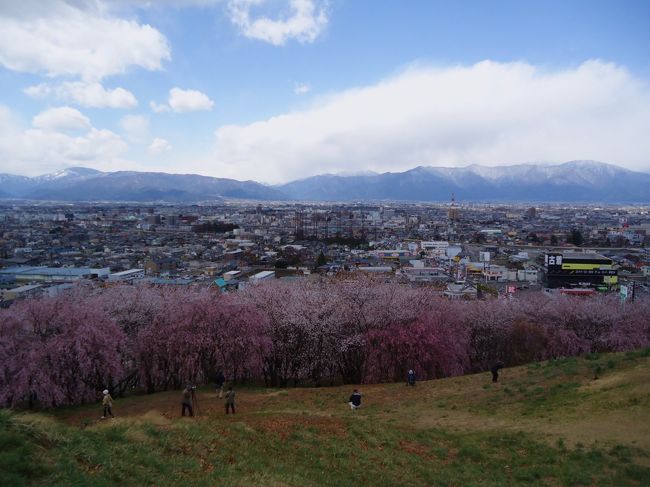 雲に太陽が隠れてしまいました。