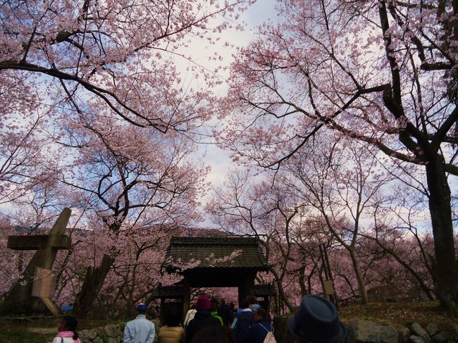 後はちょっと<br /><br />天気も曇ってるからかも･･･!!<br /><br />