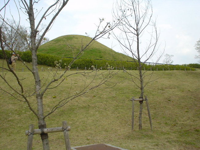 高松塚古墳〜〜〜！！！<br /><br />・・・って・・・<br /><br />ま、<br /><br /><br />山？丘？<br /><br />でした〜(^_^;)<br /><br />しか〜し！広大な敷地が一般に無料開放されていて、家族連れやカップルが芝生で遊んでいました。<br />（ウンウン、これでいいのだ！＾＾）