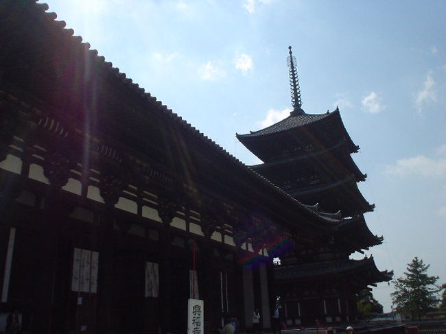 【飛鳥荘】からすぐの興福寺へ！<br /><br /><br />阿修羅様を見に行かなくちゃ〜\(~o~)／