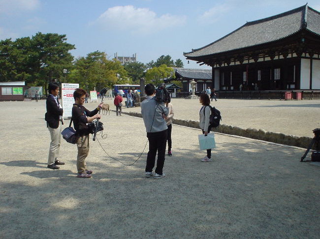境内では<br /><br />TV朝日が撮影中〜♪<br /><br /><br />リポーターの女の子、鹿に鹿せんべいをあげるとき、咬まれて<br />我を忘れて『キャ〜ッ！』<br /><br /><br />アレはカット・・・でしょ(^_^;)