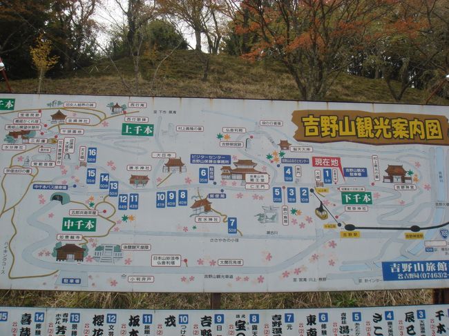 時間はないけど奥千本まで行く 世界遺産 吉野山千本桜日帰りバスツアー 吉野 奈良県 の旅行記 ブログ By Napaさん フォートラベル