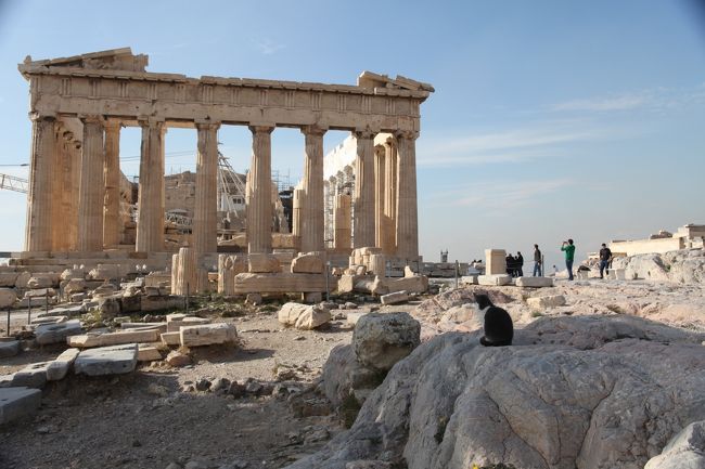 猫も見守っています。<br /><br />　