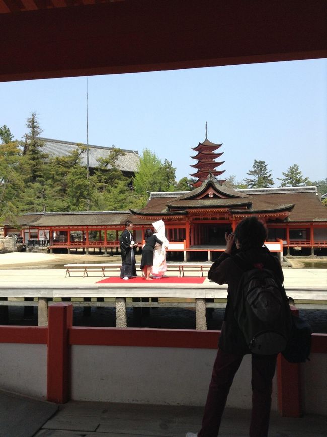 結婚式の写真を海外の方が、、、