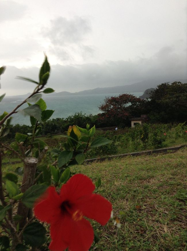 本当は、とてもビューが綺麗なんやけど、、、<br /><br />この後、嵐がやってきたの。