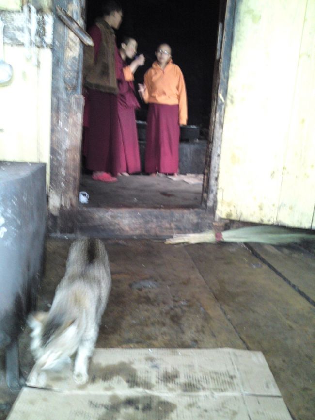 大きな窯で料理してくれた尼僧さんたち