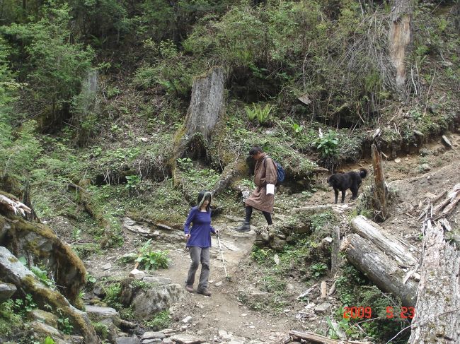 帰りにはワンちゃんが誘導してくれました