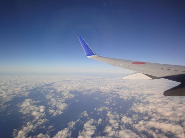 ①２７日　　「ＡＮＡ」 15:20<br />  <br />青組（ＡＮＡ機）は成田エアポートへ<br /><br />テイクオフ・オンタイム！！