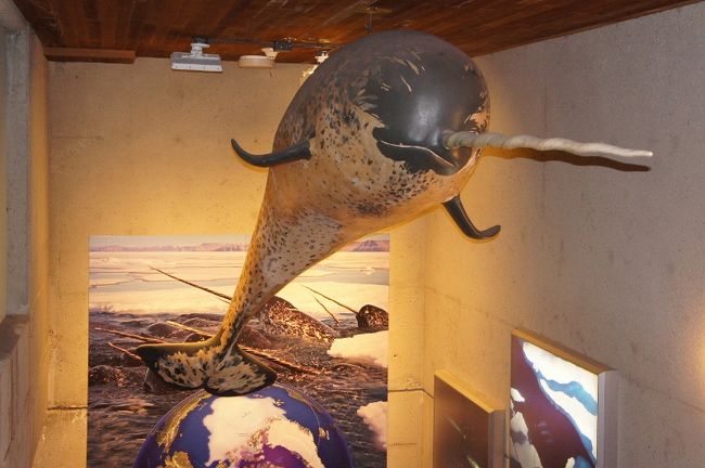 ③２９日　　「Aquarium」<br /><br />本物見て見たいよね♪