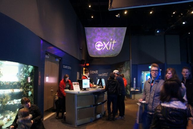 ③２９日　　「exit」<br /><br />楽しかったスタンレーパーク内の<br /><br />水族館！！