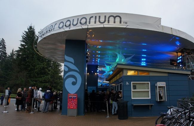 ③２９日　　「Aquarium」15：33<br /><br />水族館の入口です<br /><br />ダウンタウンに帰りますよ～