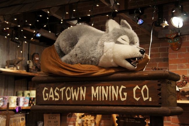 ③２９日　　「Gastown」<br /><br />ハスキー？キツネ？　sleeping