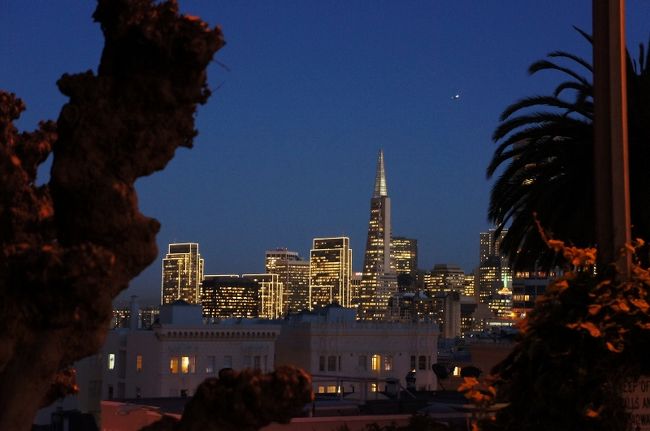 ⑦　　２日「Lombard ST」<br /><br />近くのケーブルカーの駅からダウンタウンに<br />戻ろうとしたが多くの観光客が・・<br /><br />でもケーブルカーも満席で誰１人<br />乗れない。次のケーブルカーにも乗れない<br /><br />そこで・・「じゃ反対向きのフィッシャー<br />マンズ方向に乗ろう」そこからダウンタウンへ<br />大正解！！