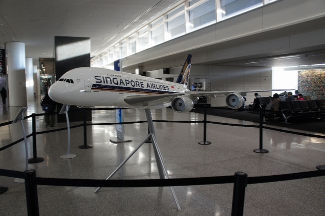 ⑧　　３日「ＳＦ・ＡＰ」<br /><br />年末に来た時は超満員でおまけに乗り換え<br /><br />ゆっくり見れなかった。<br /><br />写真はシンガポール航空のエアバス３８０模型