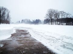 新青森駅に到着した後、青森県立美術館に行こうかと思ったのですが、この日は臨時休館日。
遺跡って外で見学するんだよなあ、こんな大雪の日に見に行くところかなあ、と迷いながらも、ねぶたん号で三内丸山遺跡へ。