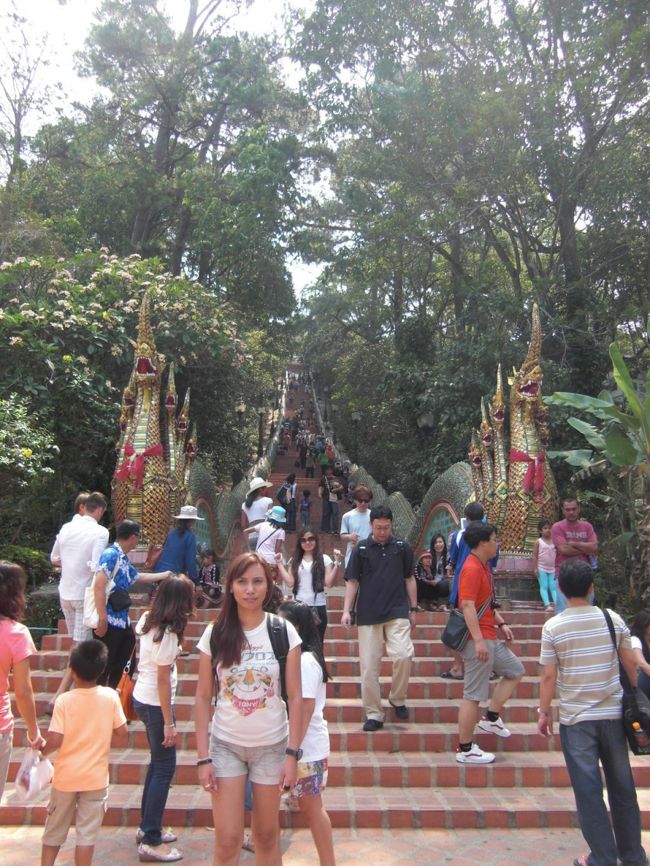 この階段をのぼってお寺へ