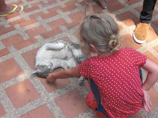 小さな女の子に遊ばれても熟睡中のネコちゃん（笑）