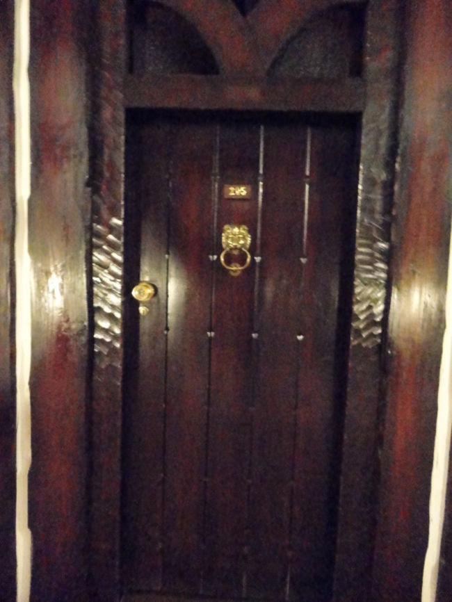 宿泊した２０５号室のドア