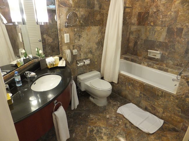 バスルームも十分な広さです。