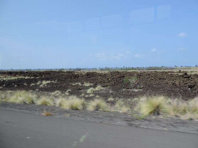 コナ空港から、予約していたシャトルに乗る。この空港の周りは溶岩でできているらしく、地面が黒い。