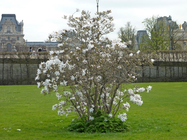 できればあと１〜２週間は滞在していたい<br />ところです。