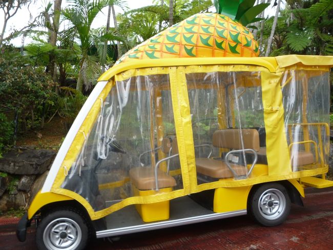 パイナップル号も、雨天バージョンです。<br />晴れている日に乗りたかったです･･･。