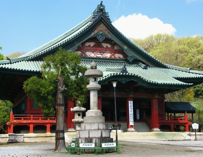太田Walk-1 大光院(子育て呑龍)/金龍寺に参拝 ☆臥龍松は樹齢 太田Walk-1 大光院(子育て呑龍)/金龍寺に参拝 ☆臥龍松は樹齢