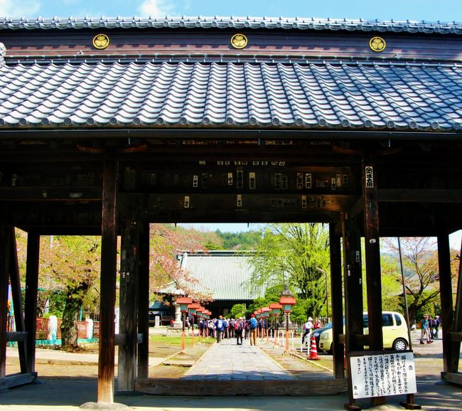 太田Walk-1 大光院（子育て呑龍）/金龍寺に参拝 ☆臥龍松は樹齢