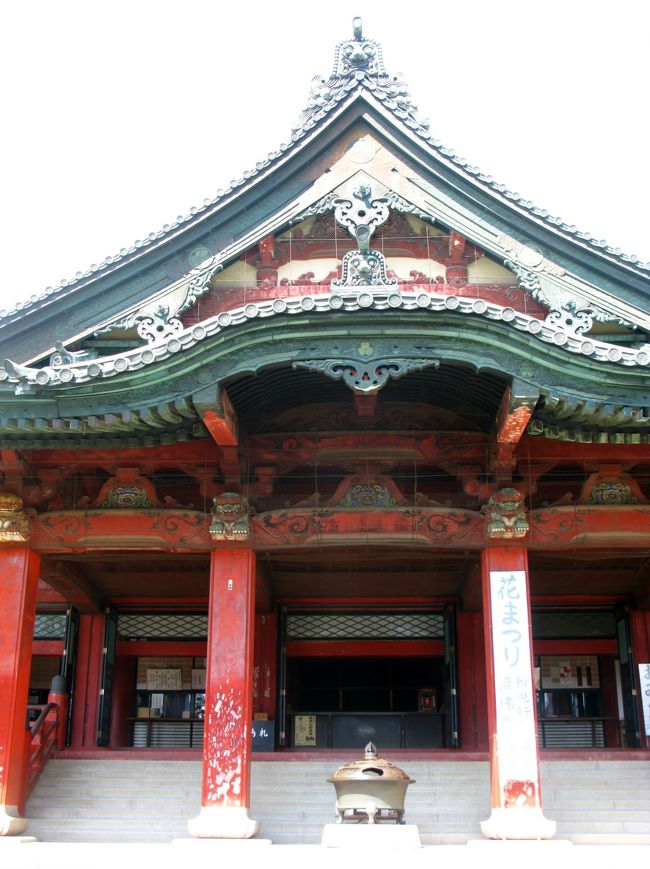 太田Walk-1 大光院（子育て呑龍）/金龍寺に参拝 ☆臥龍松は樹齢