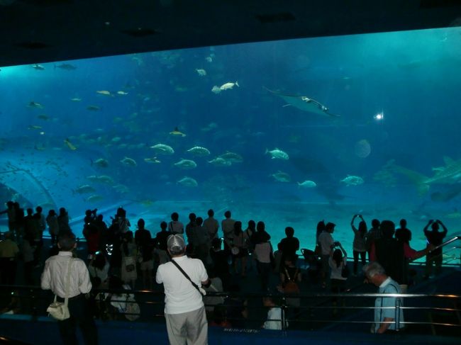 美ら海水族館の入場券が付いていたので、この水族館は沖縄での楽しみのひとつだった。<br />季節ハズレなこともあり、観光客は少なめだったが、どこから集まってきたのだろうか？<br />と思うほど、美ら海水族館には多くの入場者がいた。