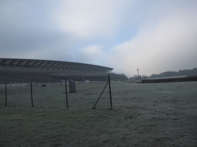 地下道を出ると草原が広がってます。<br />そして後ろには競馬場のスタンドが！<br /><br />